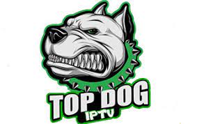 Today i will show you how to install top dog with vid and to series and over 4000 hd channels and if you're interested let me know if you . Top Dog Iptv Over 3 000 Live Hd Channels For 6 Month Kodi Fire Iptv News