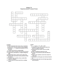 They're equally good for kids learning how to spell, for adults wanting to stimulate their mind, or for senior citizens looking to keep their minds sharp. Respiratory System Crossword Puzzle Respiratory System Crossword Puzzle Biology Class