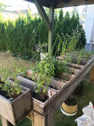 Planting herb plants is easier than starting them from seed, but if you are on a tight budget, starting herbs from seeds is not that difficult. How To Start A Small Herb Garden Sunstar