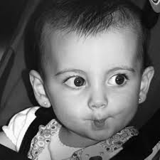 Draper Redline 68410 Fensterschaber, manueller Farbschaber, Glasschaber,  130 mm : Amazon.de: Baumarkt