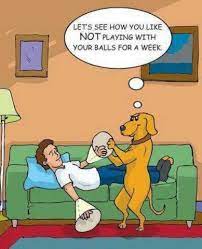 See more ideas about handball, handball players, team handball. Handball