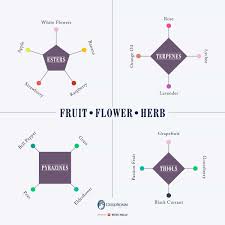 Whisky Flavour Wheels And Colour Charts Malt Whisky Reviews