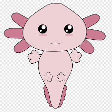 Maybe you would like to learn more about one of these? Axolotl Png Images Pngwing