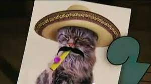 Happy Zoo Day Well Kazoo Day Actually That S Close Enough Right Zoostoyou Zootv Holidays Zoo Day Happy Zoo Cat M