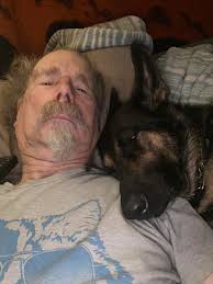 Introduction and photo of rescued german shepherd