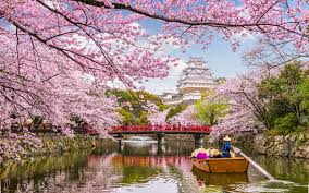 The denomination of the cryptocurrency is the token, and the most popular cryptocurrency is bitcoin, followed by ethereum. Bitcoin Traded Most With Asian Fiat Currencies Report