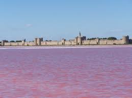 Pin By J On Travel Aigues Mortes Camargue Places To See
