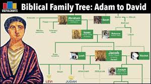 The adam and eve family tree chart shows family lines clarifying relationships of the old testament characters from adam & eve to jesus christ. Biblical Family Tree Adam Eve To King David Youtube