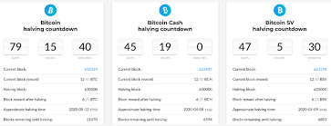 We are here to give you a detailed explanation of everything you need to know. Get Ready For The Bitcoin Halving Here Are 9 Countdown Clocks You Can Monitor Technology Bitcoin News