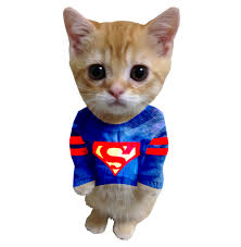 Super Cat Collage Cats Catlovers Catclothing Funnyanimals Super Cat Cat Collage Cat Lovers