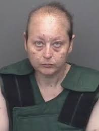 Woman Facing Several Charges Stemming From House Fire