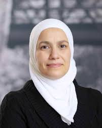 Microplastics and Nanoplastics: Degradation and Effects