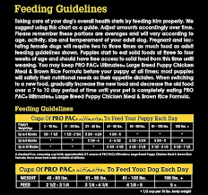 We did not find results for: Pro Pac Ultimates Large Breed Puppy Chicken Brown Rice Formula Dry Dog Food 2 5 Kg Dogspot Online Pet Supply Store