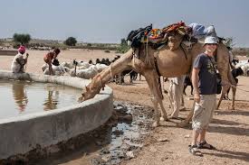 Some people wear their personality _ on their sleeves, while others try to hide it deep in the dark layers of their clothes. Rajasthan Camel Safari Contemporarynomad Com