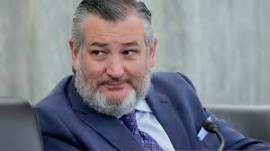 Ted Cruz hits back at those mocking him for ill-timed trip as he returns to  Texas ahead of historic storm