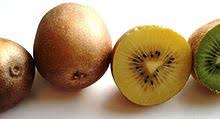Kiwi lane play to create design template checklist. Actinidia Chinensis Wikipedia