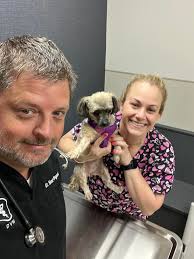 First appointments and surgery at the new building. We survived the first  two weeks! Can't wait for everyone to see it. Will let you know when the  grand opening is.