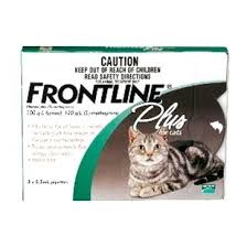 Frontline Plus For Cats Ingredients Bodrumnakliyat Co