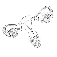 Uterus Uterus Art Feminist Art Feminism Art Art drawing set of color uterus icon. pinterest