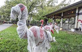 Come Get Spooked At Boo At The Zoo Entertainment Herald Review Com