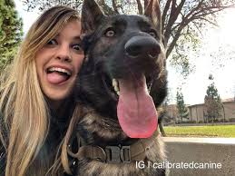 Nico likes to bark at himself 😂 M M tんjn Barking at himself