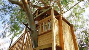 | basic simple treehouses for kids. 13 Amazing And Diy Able Tree Houses For Kids