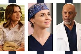 Registered users who have been online in the past 10. Which Grey S Anatomy Doctor Had The Fanciest Secret Tumor Vanity Fair
