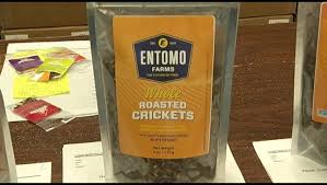 Jiminy Crickets Norwood Cricket Farm Signs Major Deal With National Grocery Chain Peterborough Globalnews Ca