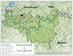 These streams have basalt basins, generally with bottoms of gravelor boulders, and. Effects Of Stream Permanence On Stonefly Insecta Plecoptera Community Structure At Mammoth Cave National Park Kentucky Usa