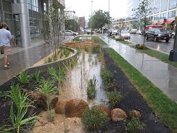 Image Result For Linear Rain Garden Rain Garden Design Landscape Design Rain Garden