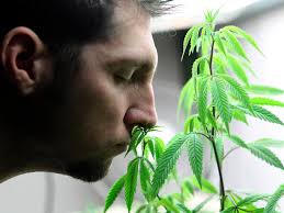 Robert Galbraith Reuters Archives