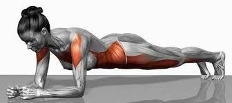 Kilos Superflus Un Seul Exercice Sans Bouger Resserre Tous Les Muscles Comment Faire Des Abdos Planche Abdominale Comment Avoir Des Abdos