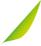 Nous offrons présentement des vols vers l'europe, le sud et au canada, ainsi que des forfaits dans les destinations sud et en europe. Air Caraibes Votre Compagnie Aerienne Des Antilles Air Caraibes