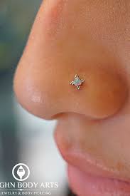 Tips And Tricks To Learn Before Getting A Nose Piercing Nose Jewelry Nose Piercing Jewelry Nose Piercing Stud