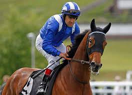 Darryll Holland Archives