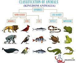 We did not find results for: 30 Soal Kingdom Animalia Hewan Dan Jawaban Pembahasan