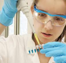 Advancing Food Safety Worldwide