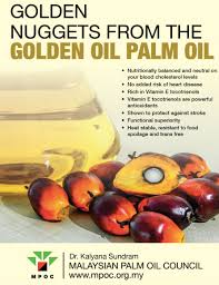 Palm oil, extracted from the pulp of the oil palm fruit, and coconut oil, extracted from the kernel of the coconut. The Oil Palm Produces Two Types Of Oils Crude Palm Oil Cpo And Crude Palm Kernel Oil Cpko News From Mission Portal