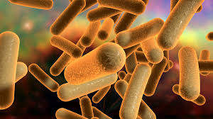 Sanofi's r&d community is made up of scientists, physicians, technicians, product and manufacturing engineers, and many others who contribute to our scientific leadership. Sanofi Expands Uk Probiotics Presence With Diorabyota Hbw Insight