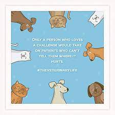 They also make wonderful promotional items for veterinary offices. Graduation Gifts For Veterinarians 30 Best Ideas Of 2021