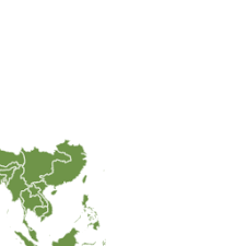 Image result for Terminalia trichopoda