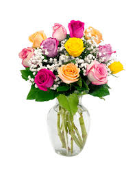 We did not find results for: Camp Hill Flower Shop At 3015 Gettysburg Road Camp Hill Pa Royer S Flowers And Gifts Flowers Plants And Gifts With Same Day Delivery For All Occasions