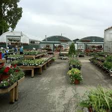 1202 s main st, bloomington, il 61701. Wendell Niepagen Greenhouses And Garden Center Flower Shop