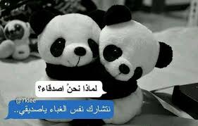 بعد لتكلي غبيه Cover Photo Quotes Funny Arabic Quotes Birthday Quotes For Me