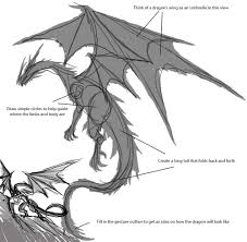 Dragon anatomy is a problematic topic, mainly due to the fact that they're mythical creatures. Dragon Anatomy Sketch