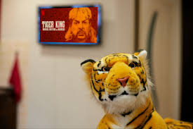 Article'tiger king' and america's captive tiger problem (theconversation.com). Best Tiger King Merchandise Joe Exotic Shirts Music Album Sales Soar Rolling Stone