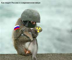 Великобритания расширит миссию ORBITAL по подготовке украинских военнослужащих, – Генштаб ВСУ - Цензор.НЕТ 3057