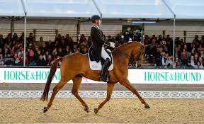 Jul 01, 2021 · the british olympic dressage team was announced this morning, with charlotte dujardin, carl hester, lottie fry and gareth hughes confirmed as the four riders who will travel to the tokyo games. Olympic Stars Charlotte Dujardin And Carl Hester Head To Royal Windsor Horse Show The Gaitpost