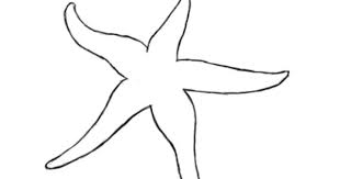How To Draw A Starfish Draw Central Starfish Drawing Starfish Painting Starfish