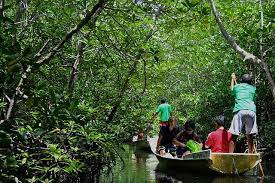 Pin Di Info Tempat Wisata Di Indonesia Get away from the hustle and bustle of the city with a day trip to nusa lembongan explore nusa lembongan's famous mangrove area by boat enjoy smooth, white beach sand on a secluded island pin di info tempat wisata di indonesia